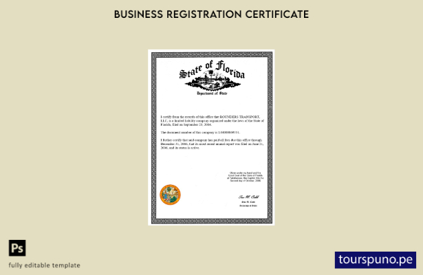 listo para imprimir Certificado de licencia comercial del estado de Florida de E